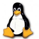 Linux Hosting Linux Hosting